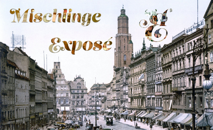 Mischlinge Expose 720 x 440 px