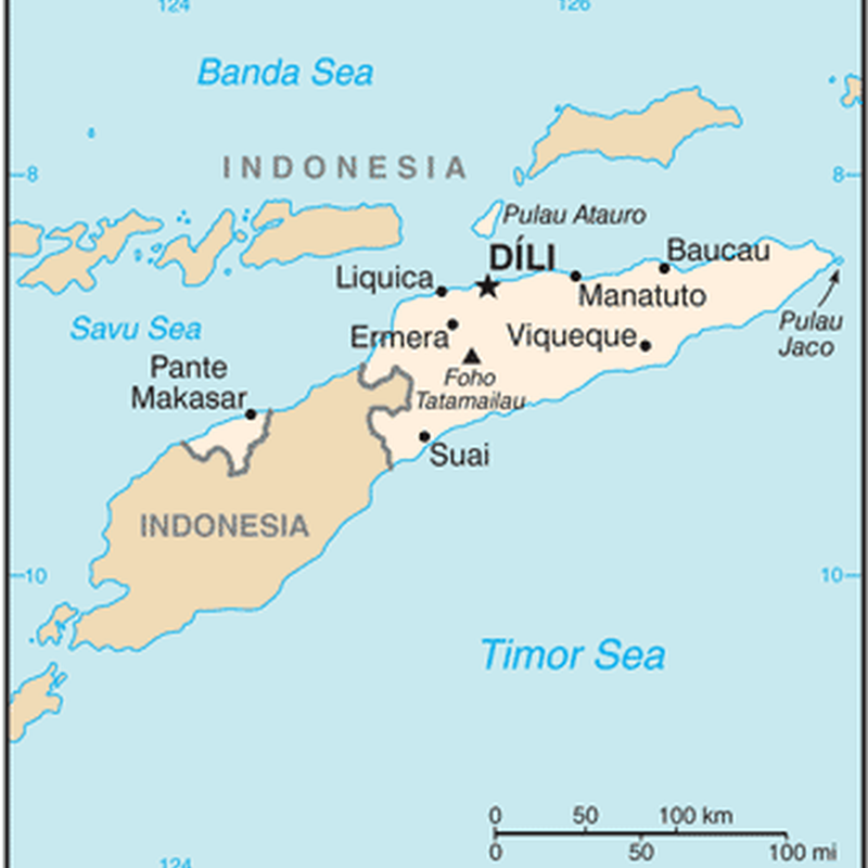 east timor 1975 1999.png 800x800 q85 crop subsampling 2 upscale