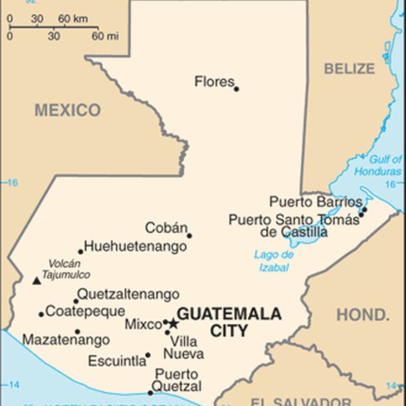guatemala 1981 1983.png 800x800 q85 crop subsampling 2 upscale