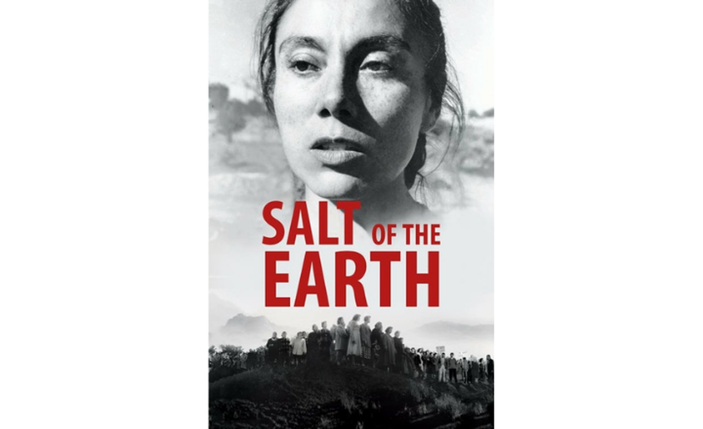 salt of the earth for web.png 1440x880 q85 crop subsampling 2 upscale