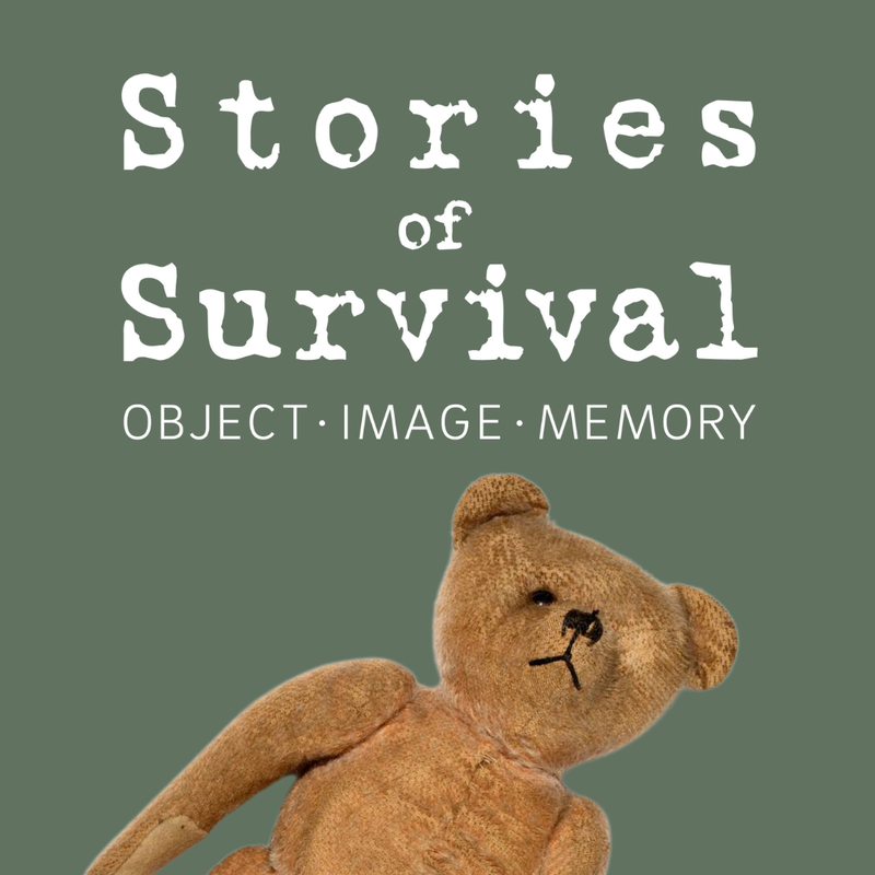 stories of survival.png 800x800 q85 crop subsampling 2 upscale